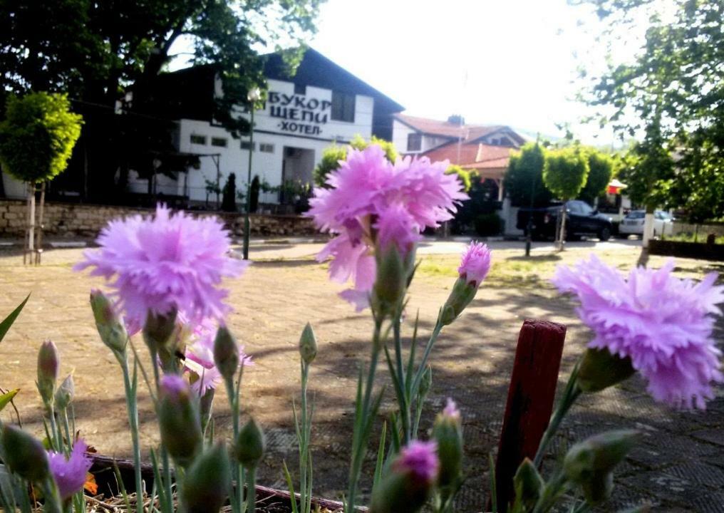 Guest House Bukor Shtepi Mandrica ภายนอก รูปภาพ